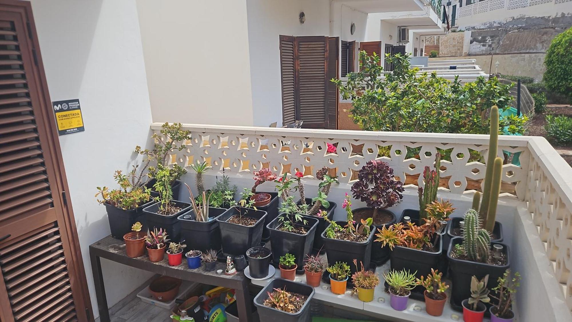 Renovated Villa In Las Americas Sea Coast Playa de las Americas  Room photo